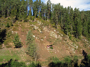 Holzmachen in der Berneck