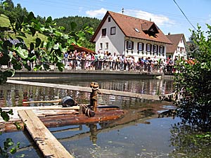 Bei den Flern in Schenkenzell