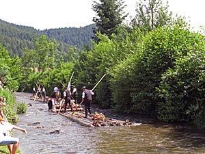 Bei den Flern in Schenkenzell