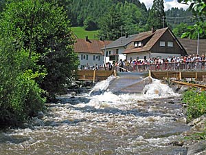 Bei den Flern in Schenkenzell