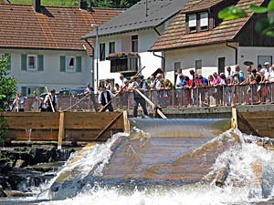 Bei den Flern in Schenkenzell