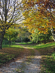 Herbstspaziergang