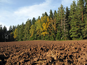 Herbstspaziergang