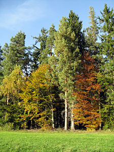Herbstspaziergang