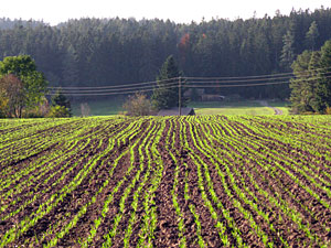 Herbstspaziergang