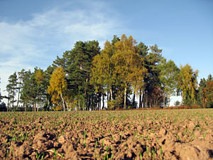 Herbstspaziergang