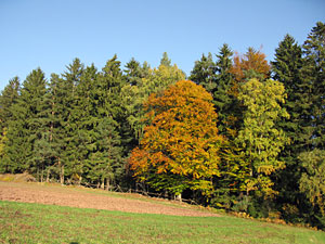 Herbstspaziergang