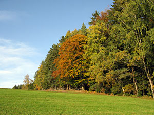 Herbstspaziergang