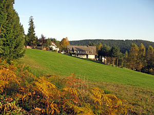 Herbstspaziergang