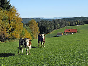 Herbstspaziergang