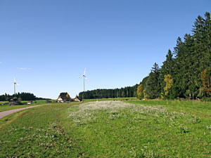Herbstspaziergang
