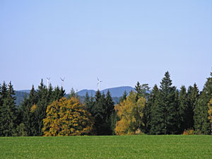 Herbstspaziergang
