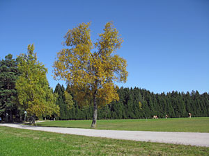 Herbstspaziergang