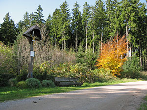 Herbstspaziergang