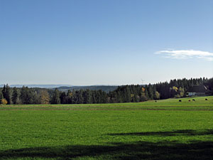 Herbstspaziergang