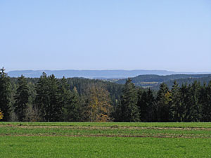 Herbstspaziergang