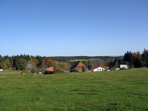 Herbstspaziergang