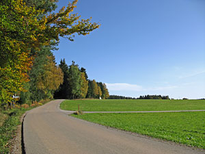 Herbstspaziergang