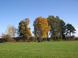 Herbstspaziergang