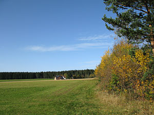 Herbstspaziergang