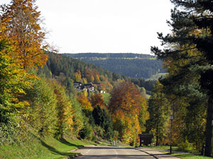 Herbstspaziergang
