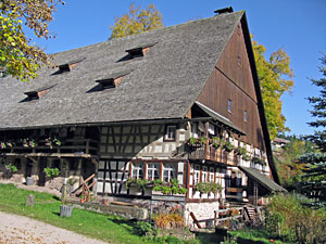 Herbstspaziergang