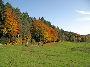 Herbstspaziergang