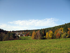 Herbstspaziergang