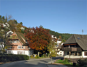 Herbstspaziergang