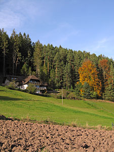 Herbstspaziergang
