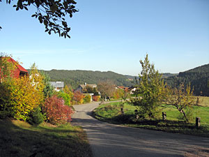 Herbstspaziergang