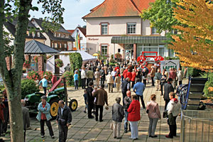 Holztag im Heimathaus