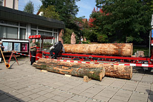 Holztag im Heimathaus