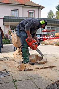 Holztag im Heimathaus