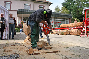 Holztag im Heimathaus