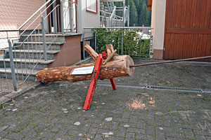 Holztag im Heimathaus