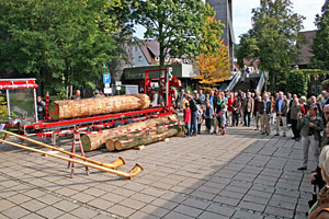 Holztag im Heimathaus
