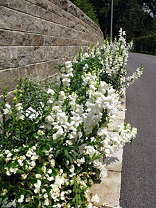Landesgartenschau Nagold 2012