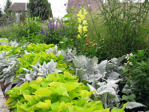 Landesgartenschau Nagold 2012