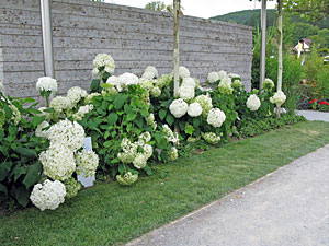 Landesgartenschau Nagold 2012