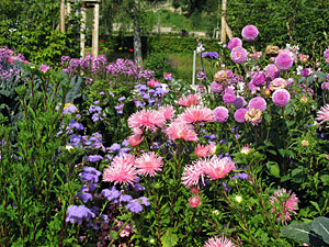 Landesgartenschau Nagold 2012