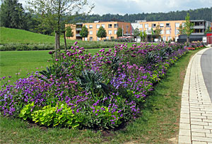 Landesgartenschau Nagold 2012
