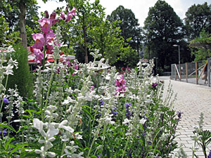 Landesgartenschau Nagold 2012