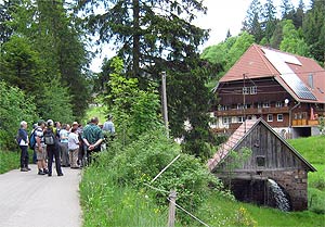 Mhlenwanderung mit dem Schwarzwaldguide