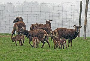 Ostern 2012
