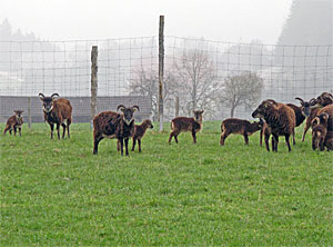 Ostern 2012