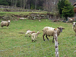 Ostern 2012