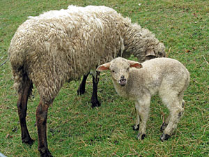 Ostern 2012
