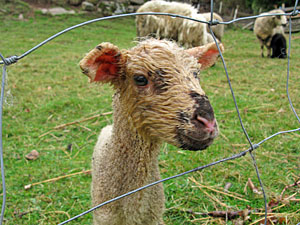 Ostern 2012