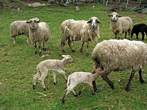 Ostern 2012